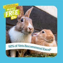Load image into Gallery viewer, Burgess Excel Dualcare Recovery For Rabbits & Guinea Pigs 10x60g