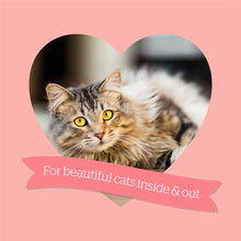 Load image into Gallery viewer, Burgess Adult Cat Scottish Salmon Dried Food