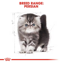 Load image into Gallery viewer, Royal Canin Persian Kitten Food