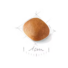 Load image into Gallery viewer, Royal Canin Miniature Schnauzer Puppy Food 1.5kg