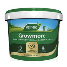 Load image into Gallery viewer, Westland Growmore Balanced Nutrients For All Gardens and Plants 1.5kg, 4kg and 8kg