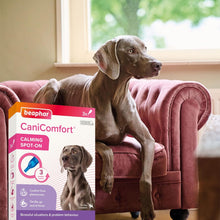Load image into Gallery viewer, Beaphar CaniComfort Calming Pheromone Spot-On For Dogs For Stressful Situations