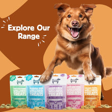 Load image into Gallery viewer, Hownd Golden Oldies Wellness Treats 100g