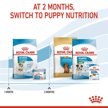 Load image into Gallery viewer, Royal Canin Mini Starter Mother & Babydog Food 8kg