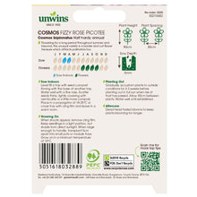 Load image into Gallery viewer, Unwins Cosmos Pink Seed Bundle