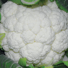 Load image into Gallery viewer, Cauliflower Skywalker F1