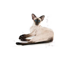 Load image into Gallery viewer, Royal Canin Siamese Cat Food