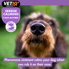 Load image into Gallery viewer, VETIQ Serene Calming 50G