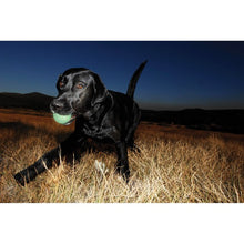 Load image into Gallery viewer, Chuckit! Max Glow Ball – Durable Glow-in-the-Dark Rubber Fetch Ball for Dogs, No Batteries Needed, Compatible with Chuckit! Launchers, Ideal for Night-Time and Early Morning Play