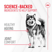 Load image into Gallery viewer, Royal Canin Joint & Ageing Supplement 240g