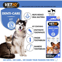 Load image into Gallery viewer, VETIQ Denti-Care Kit 70G