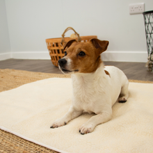 Load image into Gallery viewer, Self Heating Pet Pad S 48 x 38cm