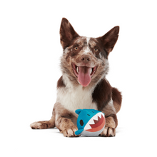 Load image into Gallery viewer, Bark Great White Dwight Dog Toy