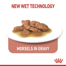 Load image into Gallery viewer, Royal Canin Indoor Sterilised in Gravy 12 x 85g