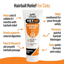 Load image into Gallery viewer, VETIQ Hairball Relief Paste for Cats & Rabbits 70g