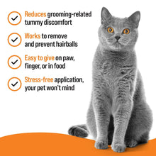 Load image into Gallery viewer, VETIQ Hairball Relief Paste for Cats & Rabbits 70g