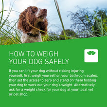 Load image into Gallery viewer, Frontline Plus Flea & Tick Treatment For Cats & Dogs