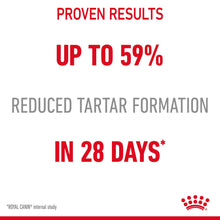 Load image into Gallery viewer, Royal Canin Dental Care Adult Dry Cat Food For Cats- Various Sizes