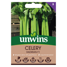 Load image into Gallery viewer, Celery Hadrian F1