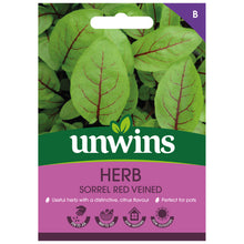 Load image into Gallery viewer, Herb Sorrel Red Veined