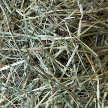 Load image into Gallery viewer, HayDay Outstanding Oat Hay