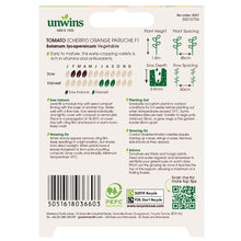 Load image into Gallery viewer, Tomato (Cherry) Orange Paruche F1