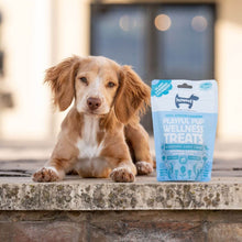 Load image into Gallery viewer, Hownd Playful Pup Wellness Treats 100g