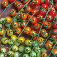 Load image into Gallery viewer, Tomato (Cherry) Cherry Baby