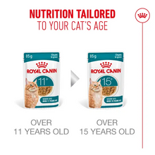 Load image into Gallery viewer, Royal Canin FHN Ageing 11+ Cat Food Gravy 12x85g