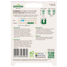 Load image into Gallery viewer, Unwins Cosmos Pink Seed Bundle