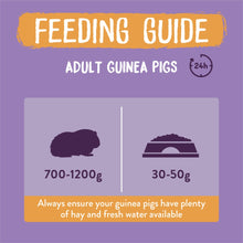 Load image into Gallery viewer, Burgess Excel Adult Guinea Pig Nuggets With Blackcurrant & Oregano