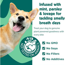 Load image into Gallery viewer, Hownd Yup You Stink Wellness Treats 100g