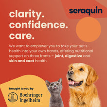 Load image into Gallery viewer, Seraquin Skin & Coat Care For Cats & Dogs - 95ml Liquid Supplement