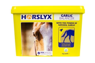 Load image into Gallery viewer, Horslyx Balancer Lick 5kg- Various