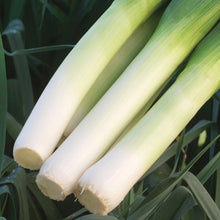 Load image into Gallery viewer, Unwins Sunday Roast Veg Seed Bundle
