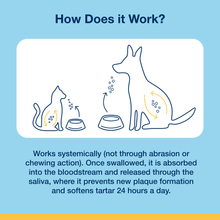 Load image into Gallery viewer, PlaqueOff Powder for Dogs & Cats
