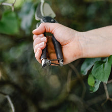 Load image into Gallery viewer, Kent & Stowe Traditional Secateurs Twin Pack