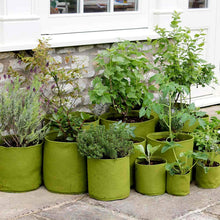 Load image into Gallery viewer, Haxnicks Vigoroot Planter