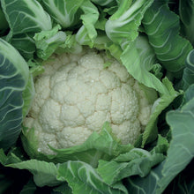 Load image into Gallery viewer, Unwins Seeds - Organic