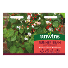 Load image into Gallery viewer, Runner Bean Jackpot (Dwarf)
