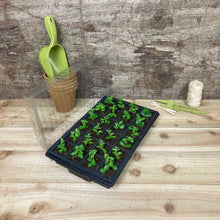 Load image into Gallery viewer, Growers Choice Standard Propagator Black 24cm