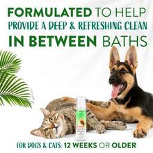 Load image into Gallery viewer, TropiClean Watermelon Waterless Pet Shampoo 218ml