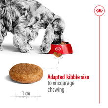 Load image into Gallery viewer, Royal Canin Medium Adult Dry Dog Food - All Sizes