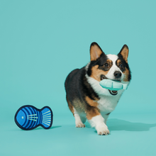 Load image into Gallery viewer, Bark Blue Rad Herring Dog Toy