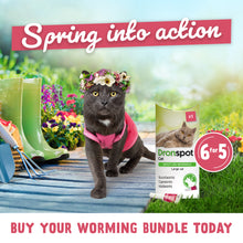 Load image into Gallery viewer, Dronspot Spot On Wormer for Large Cats (5 to 8kg) 6 Pipettes