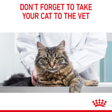 Load image into Gallery viewer, Royal Canin Wet Cat Food Hair & Skin Care in Gravy Pack of 12 x 85g