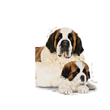Load image into Gallery viewer, Royal Canin Giant Starter Mother & Babydog Food 15kg