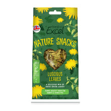 Load image into Gallery viewer, Burgess Excel Luscious Leaves Treat For Rabbits & Guinea Pigs 75g