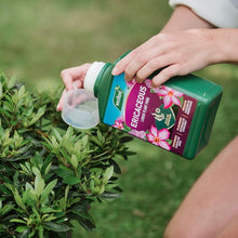 Load image into Gallery viewer, Westland Ericaceous High Performance Liquid Feed 1L