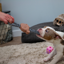 Load image into Gallery viewer, Ancol Small Bite Teddy Teether Tugger